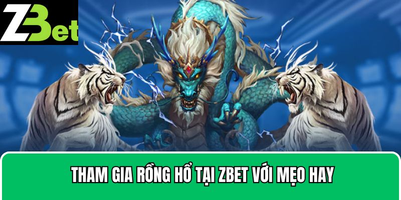 Tham gia Rồng Hổ tại Zbet với mẹo hay